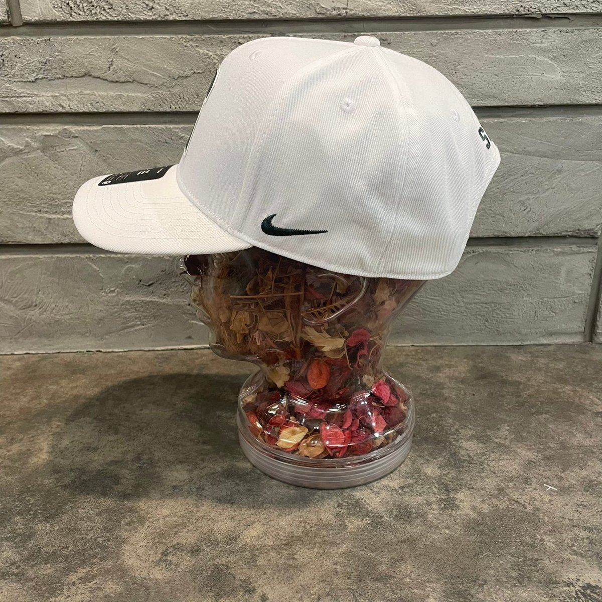 日本未発売モデル NIKE×Penn State Nittany Lions Nike Pr