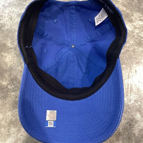 USA NIKE  FLORIDA GATORS CAP