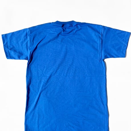 GC-Ain’t nothing but a thing  T-shirt　ROYAL　TE-03