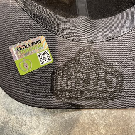 USA限定 NIKE GOODYEAR COTTON BOWL  Champs CAP 日本未発売モデル N-35