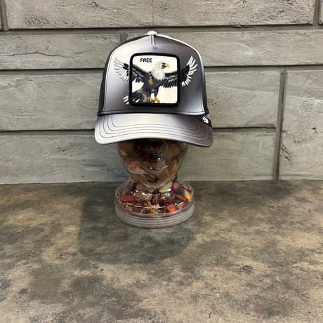 Goorin Brothers Steal This Hat cap  Snapback  GO-05 COLOR VOID