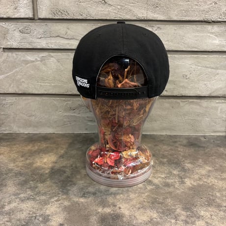 USA買付 Dungeons & Dragons Youth Snapback Hat - Black　US-50