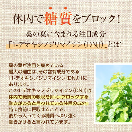諸木の桑抹茶（袋入・粉茶）100g