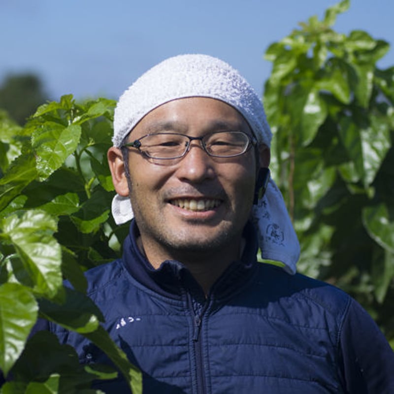 しあわせ　桑まっ茶　10袋 Amazon | わくわく園 有機桑茶 ティーバッグ (100包) 国産 桑の葉茶