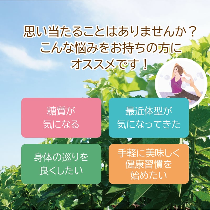 お得な桑抹茶セット（100g×5袋+50g×1袋） | 諸木農園