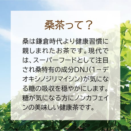 お得な桑抹茶セット（100g×5袋+50g×1袋）