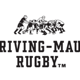 DRIVING-MAUL the store