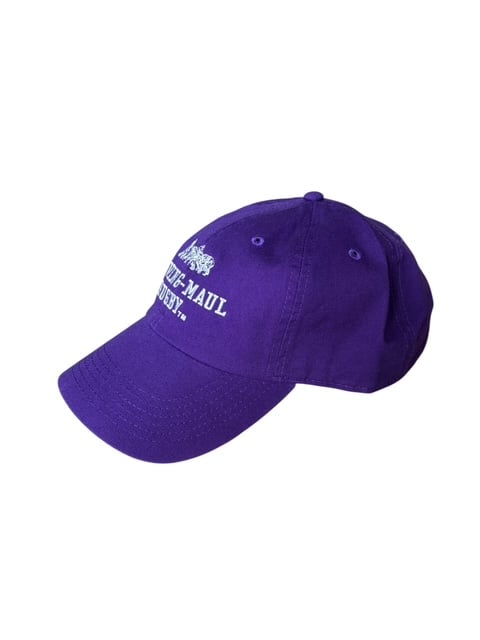 DRIVING-MAUL RUGBY™ TWILL BB CAP <purple> | DRI