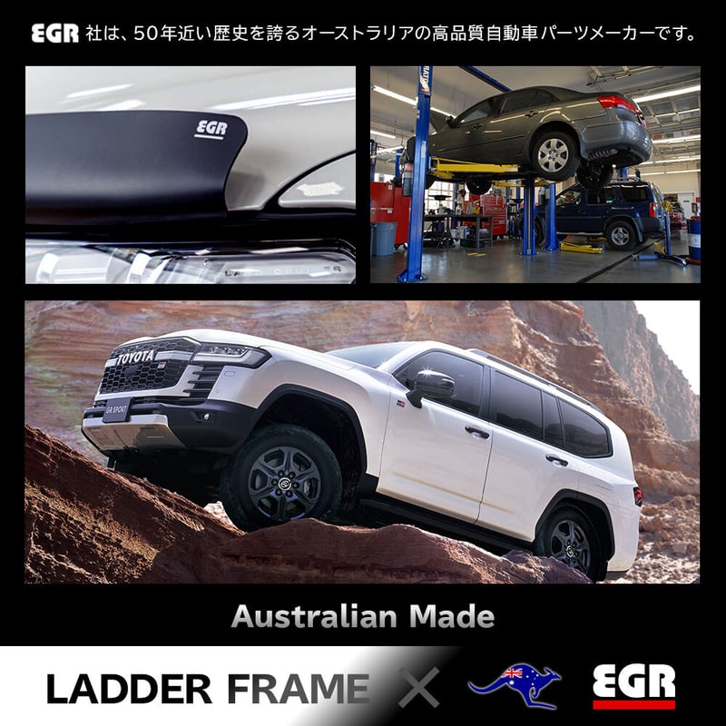 ランクル300 バグガード カスタム パーツ 虫除け トヨタ 