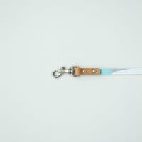 PETS_リードSS　 -DEEP BREATH- (AQUA BLUE)
