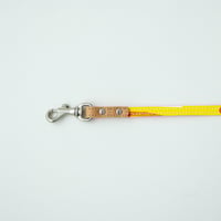 PETS_リードSS　 -MAGIC BIRD- (YELLOW)