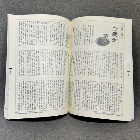 【レビューはこちらからご確認ください！】予約注文◇別冊月刊気学：納音〜奏する三十の階調〜◇