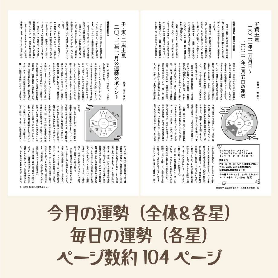 6258e4fab34a567609ab02c6
