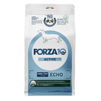 ECHO Active エコー アクティブ
