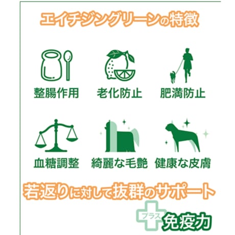 乳酸菌エイチジン グリーン人用　30包入り