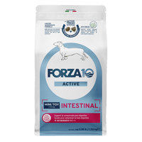 Intestinal Active インテスティナル アクティブ