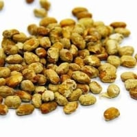フリーズドライ納豆　40ｇ