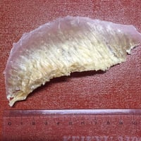 サメのむなびれ  大袋