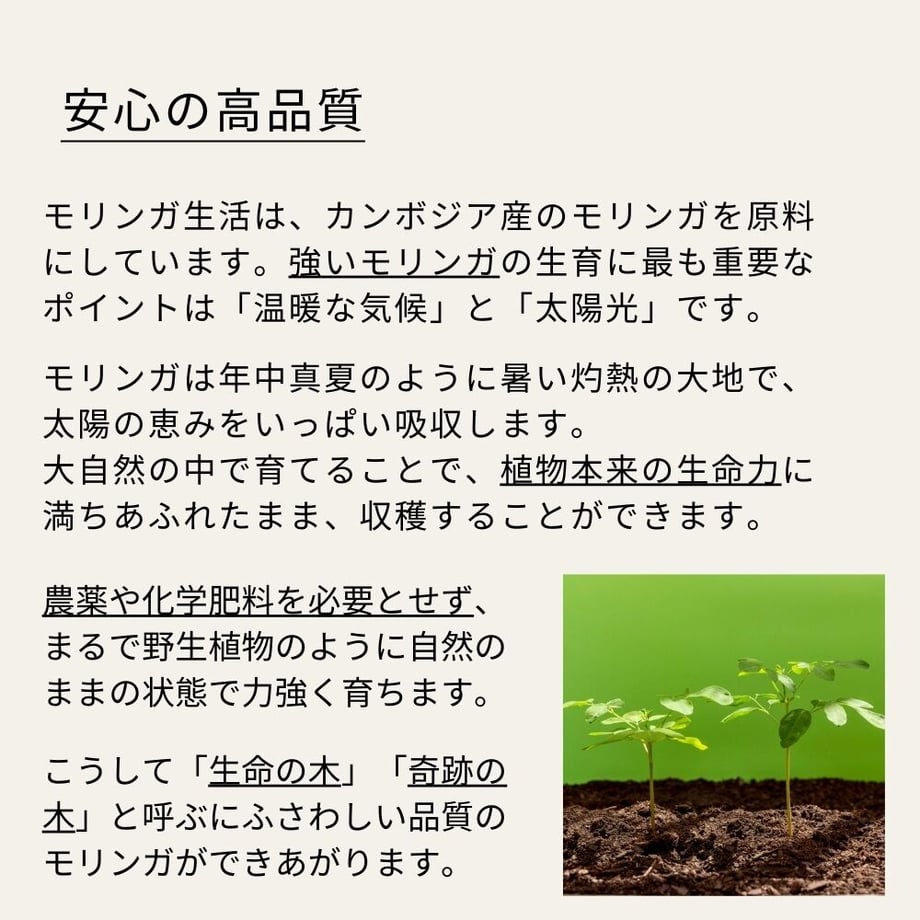 5ee47128b5a4253a60fc4abe