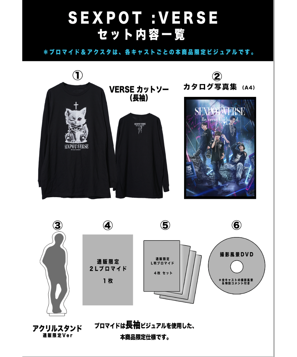 V6 グッズセット DVD・Tシャツ・写真集など 通販限定】SEXPOT:VERSE 長袖セット｜宮城紘大 | SEXPOT：VERSE ショップ