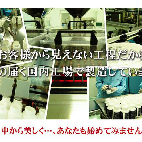 令和7年10月28日入荷！ビタミンリッシュ　サプリメント（栄養機能食品）【送料別】