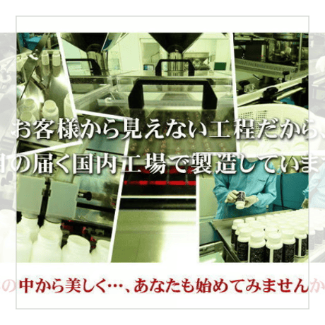 ＜定期購入で送料無料＞ビタミンリッシュ  サプリメント（栄養機能食品）