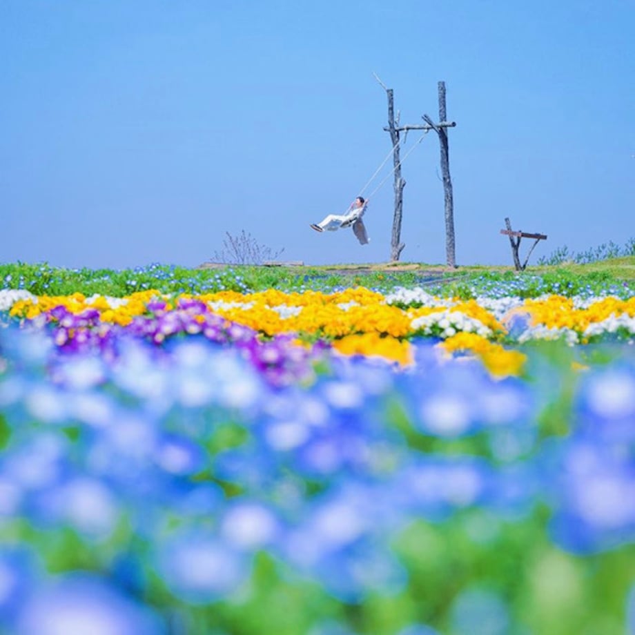 67eb9a426b5929a61f04004b