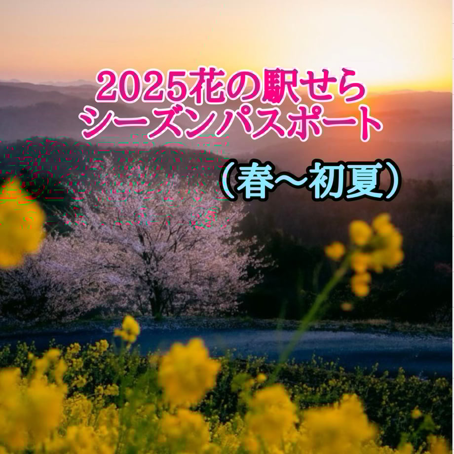 67eb971e6b5929643603f757