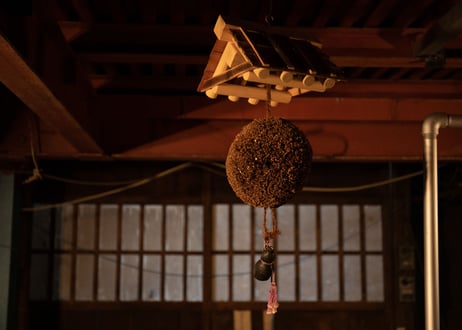 【正規特約店】初桜 純米吟醸