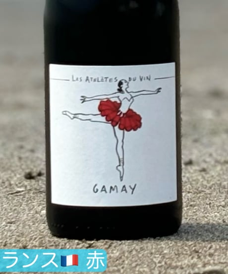Gamay 2022 ガメイ