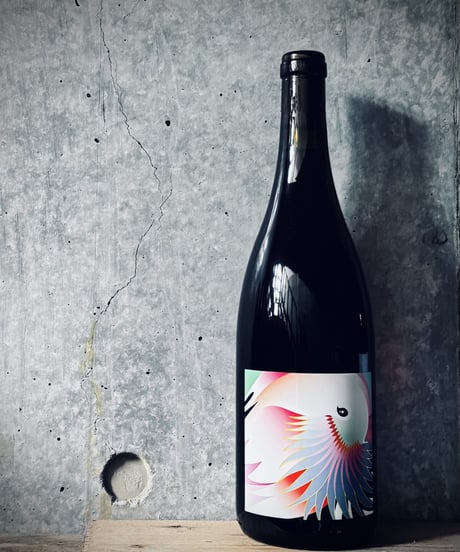 Rosato 2023 ロザート