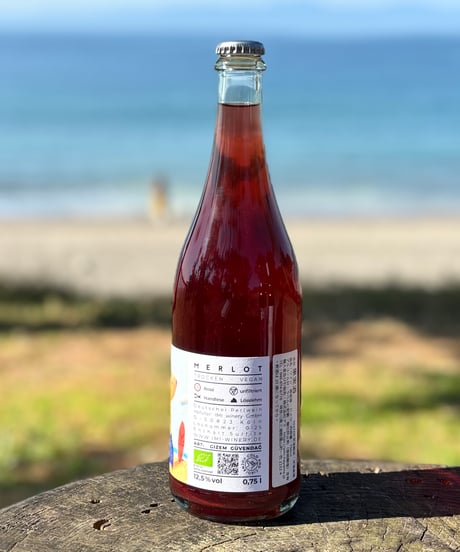 Merlot Rose Petnat 2024　メルロー・ロゼ・ペトナット