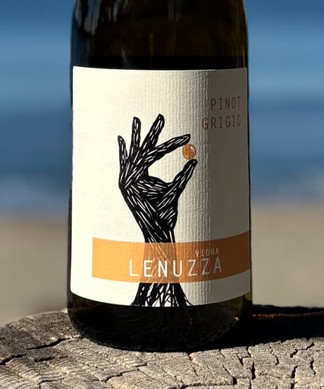 Pinot Grigio 2024 ピノグリージョ
