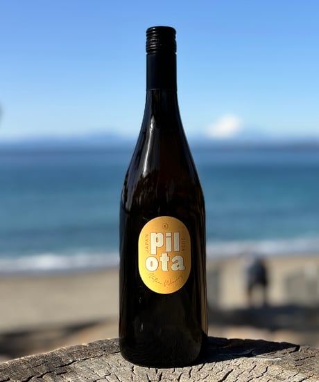 CATEGORY オレンジワイン | ナチュラルワイン専門店 ami hayama