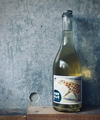 PET NAT WILD 2022  ペット・ナット・ワイルド