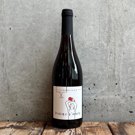 aiレ・カイユ・デュ・パラディ　ピノノワール　ガメイ2010年2本セット 国分グループ本社 DV ピノ・ノワール“テール・ド・ファミーユ”赤