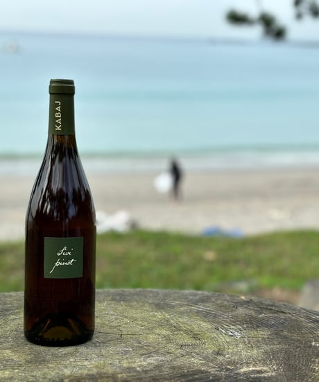 Sivi Pinot シビピノ