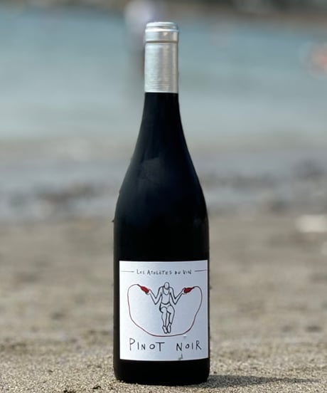 Pinot Noir 2023 ピノ・ノワール