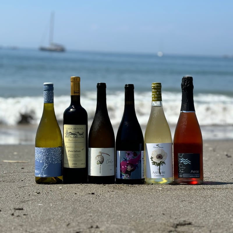 m*k様 【特価】【自然派ワイン】人気ナチュラルワイン6本セット m*