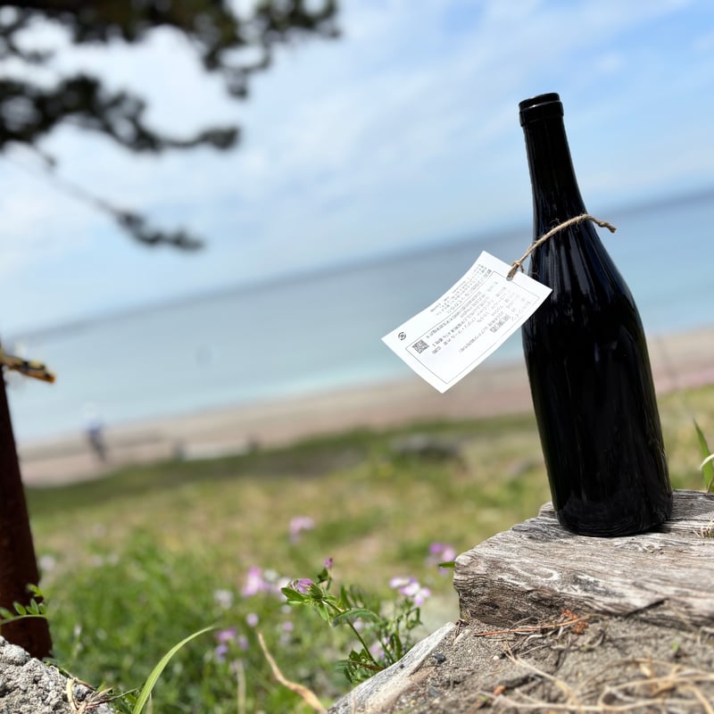 2024 TSURU 鶴(ツル) | ナチュラルワイン専門店 ami hayama/オンライン