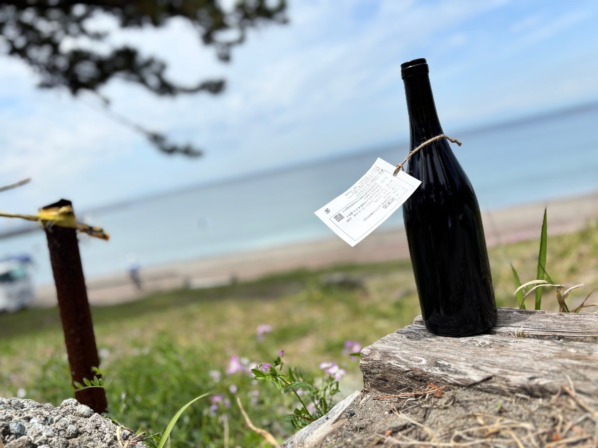 2024 TSURU 鶴(ツル) | ナチュラルワイン専門店 ami hayama/オンライン