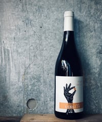 Pinot Grigio 2024 ピノグリージョ