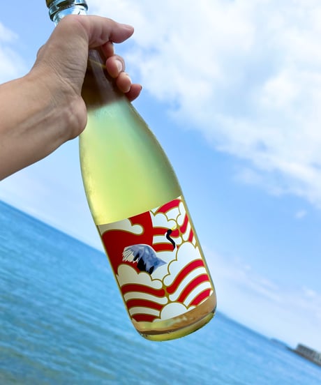 Aromatico 2025 アロマティコ