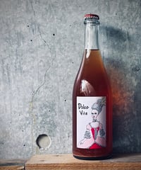 Dolce Vita2025　ドルチェ・ヴィータ