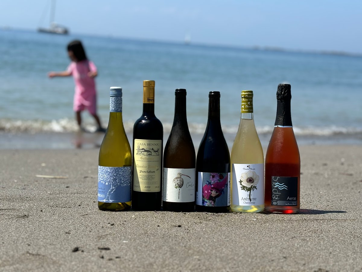 T*a様 【特価】【自然派ワイン】人気ナチュラルワイン6本セット 緊急