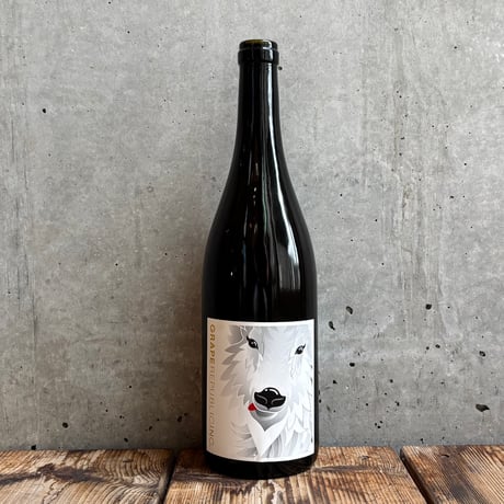 アヴィ・ドゥ・トンペット（ラタ・ポワル）　ガメイ・ヌメロ・ヌフ ヌメロ・キャトーズ・シュナン・ペットナット [2021] アヴィ