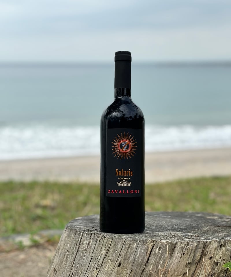 Solaris 2021 ソラリス | ナチュラルワイン専門店 ami hayama/オンライ