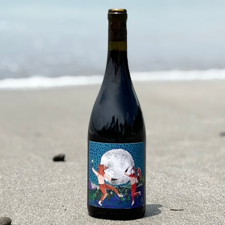 CATEGORY 5,000円以上6,000円未満 | ナチュラルワイン専門店 ami CATEGORY 5,000円以上6,000円未満 | ナチュラルワイン専門店 ami