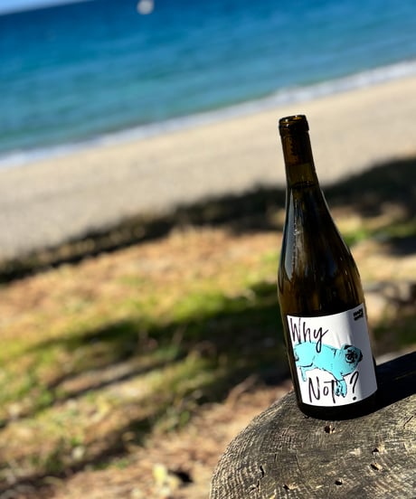 WHY NOT? CHARDONNAY 2023 ホワイ・ノット？ シャルドネ