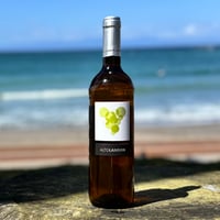 Altolandon Blanco アルトランドン ブランコ